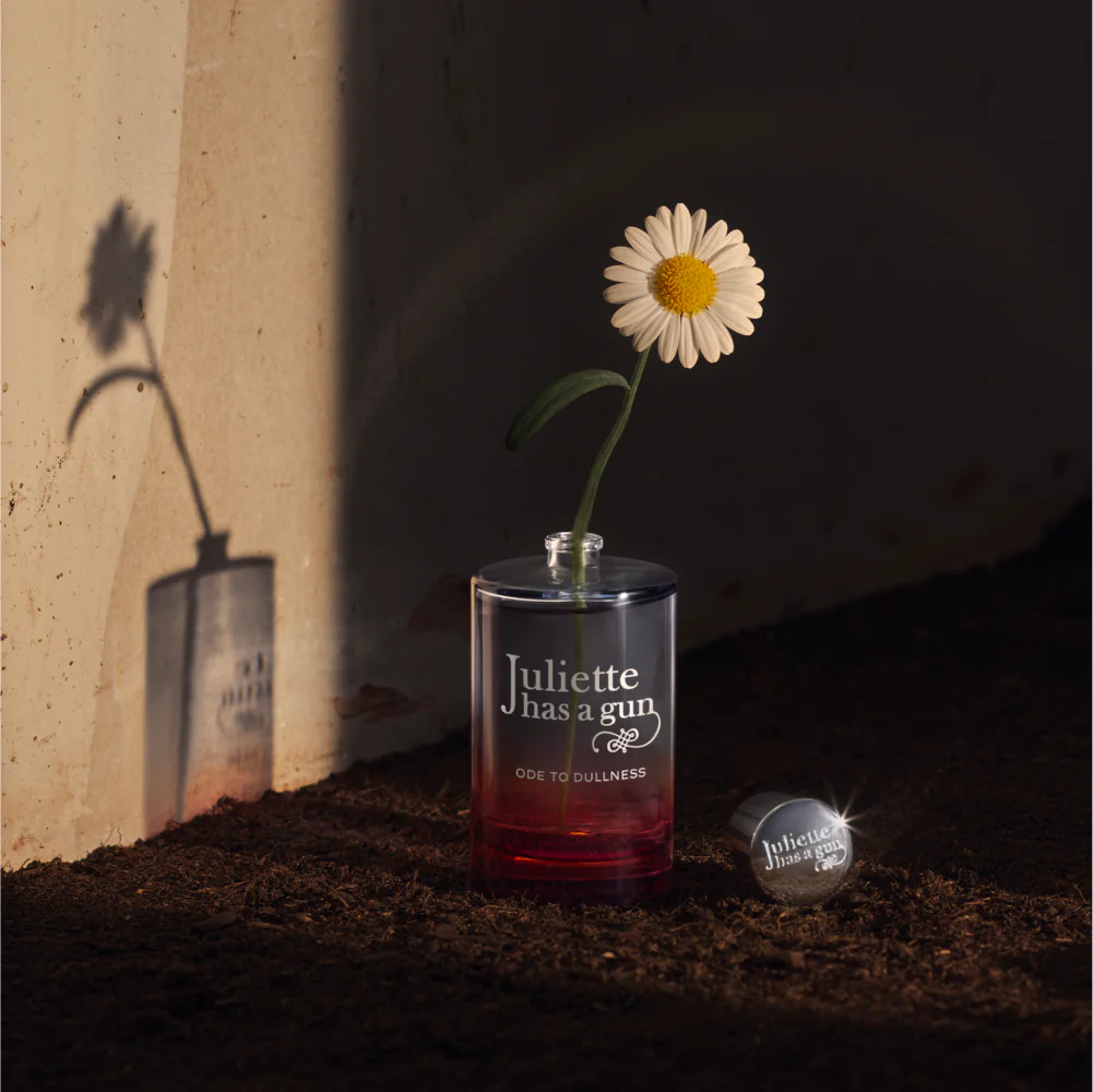 Ode to Dullness - Image 5